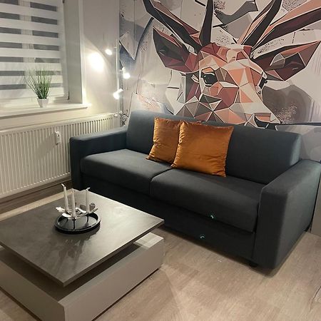 Harzfokus - Freshnest #Netflix#Wlan#Zentrum Wernigerode Esterno foto
